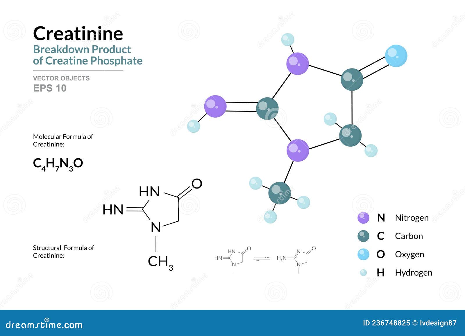 Creatine Structural Formula Stock Image 28237891