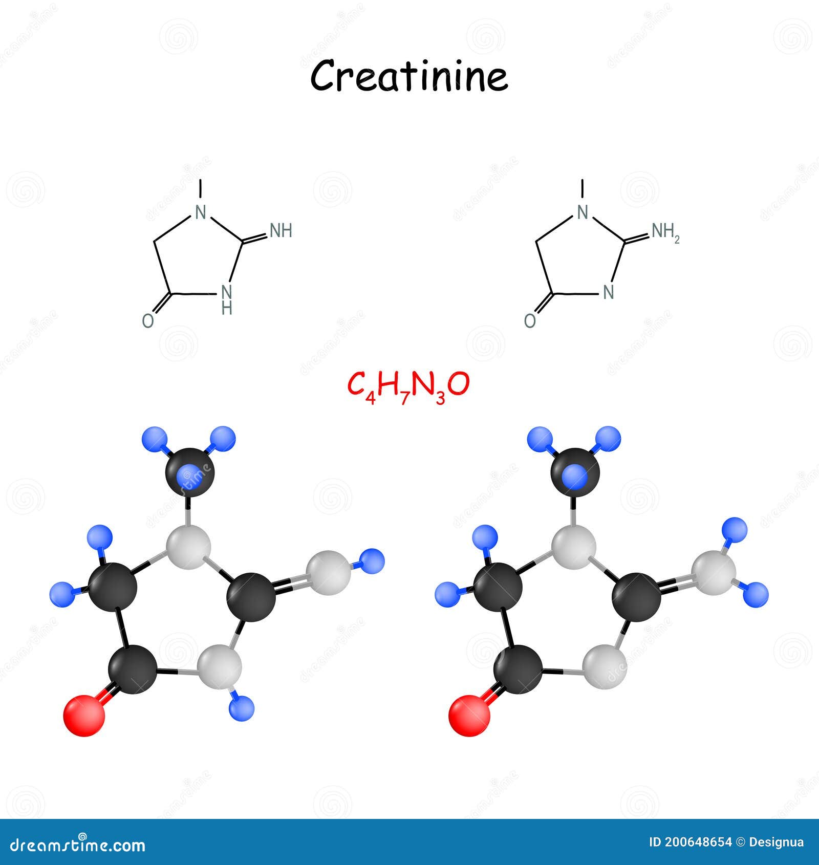 Creatinine. Chemical Structural Formula Stock Vector Illustration of