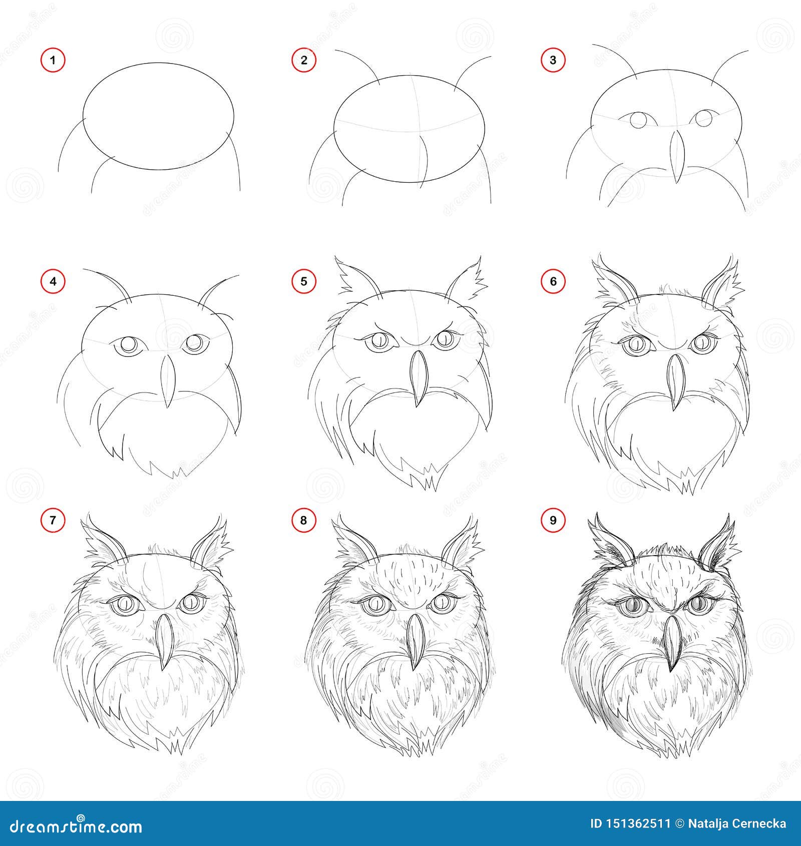 Creation Step By Step Pencil Drawing. Page Shows How Learn To Draw