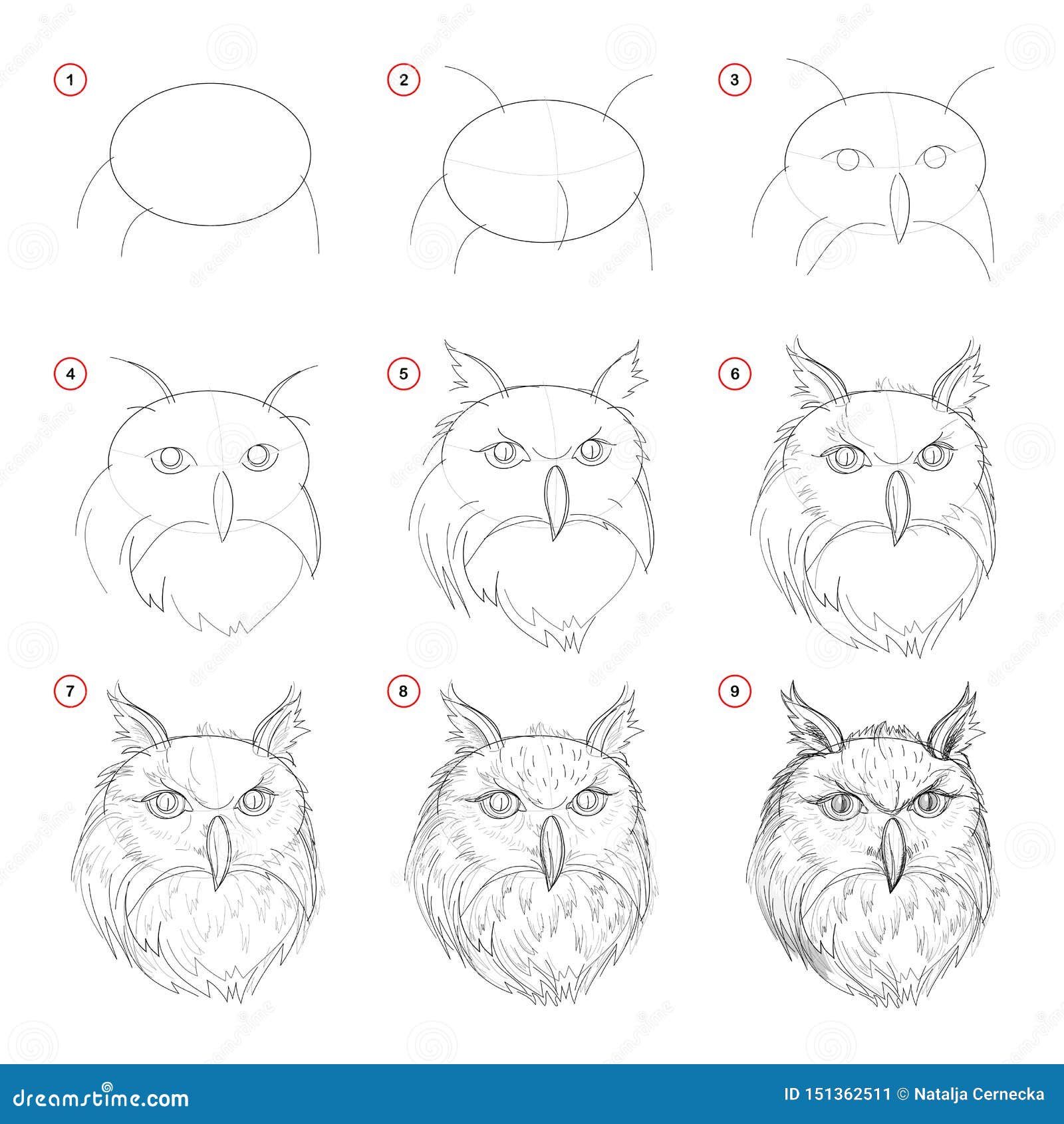 How to Draw Step by Step Pages for Adult Graphic by PixelOriel · Creative  Fabrica