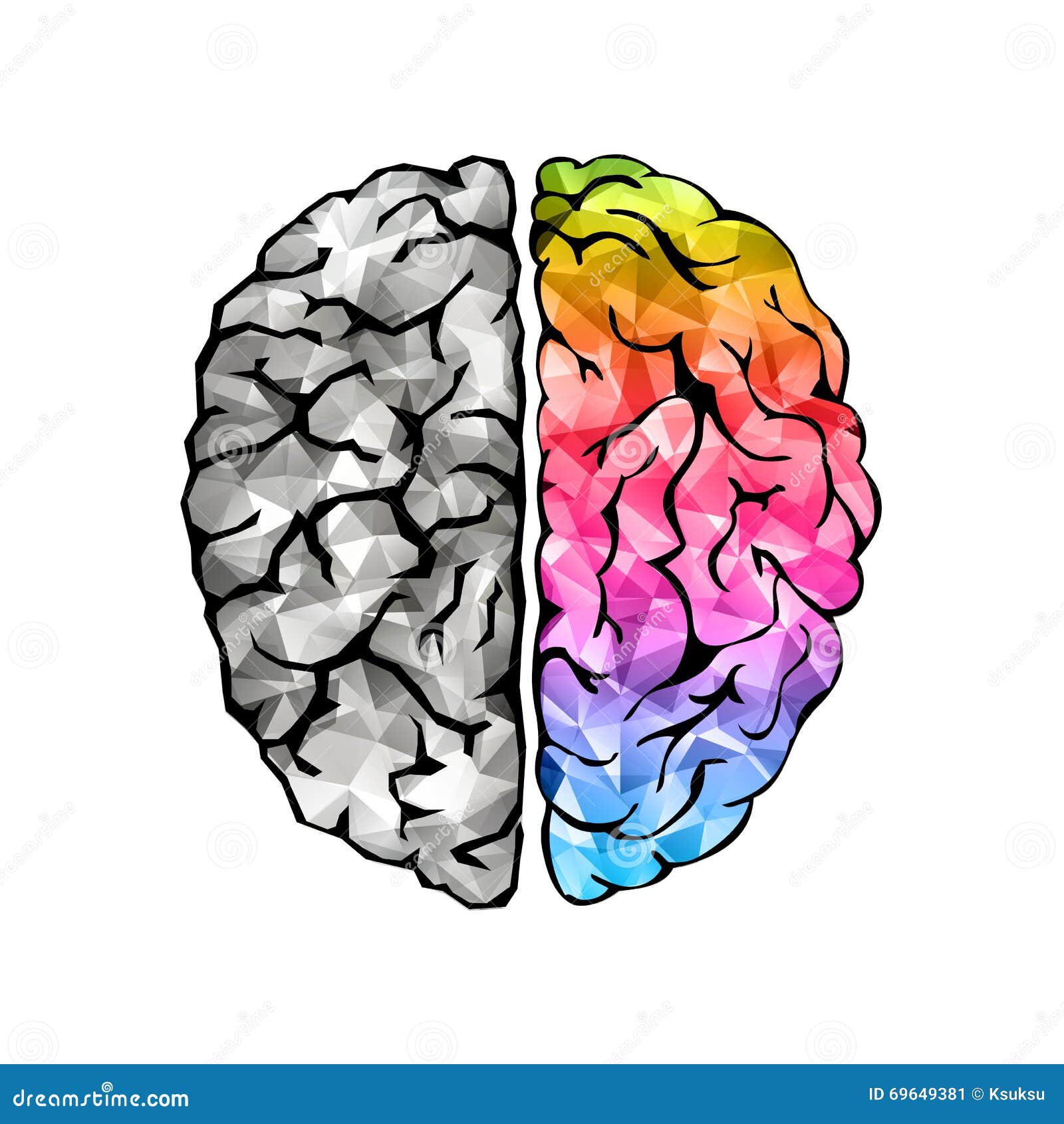 which side of the brain is creative which side of the brain is creative