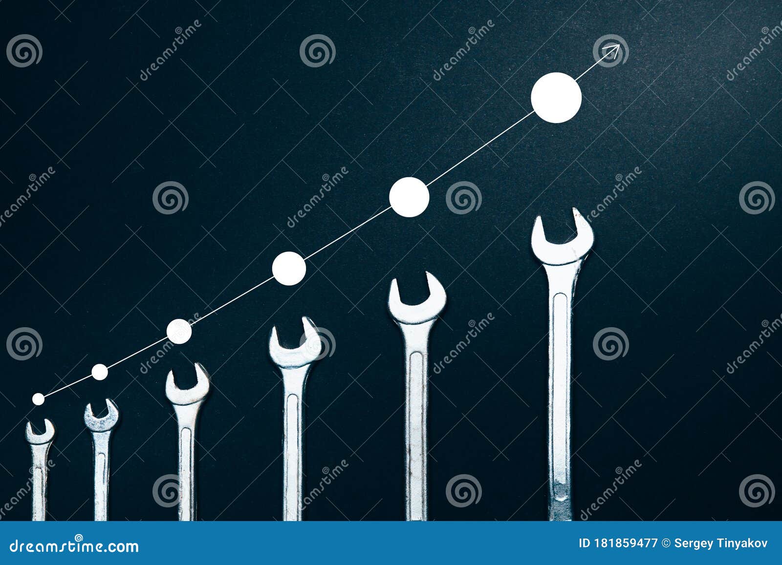 creative concept of professional growth. different sizes of wren