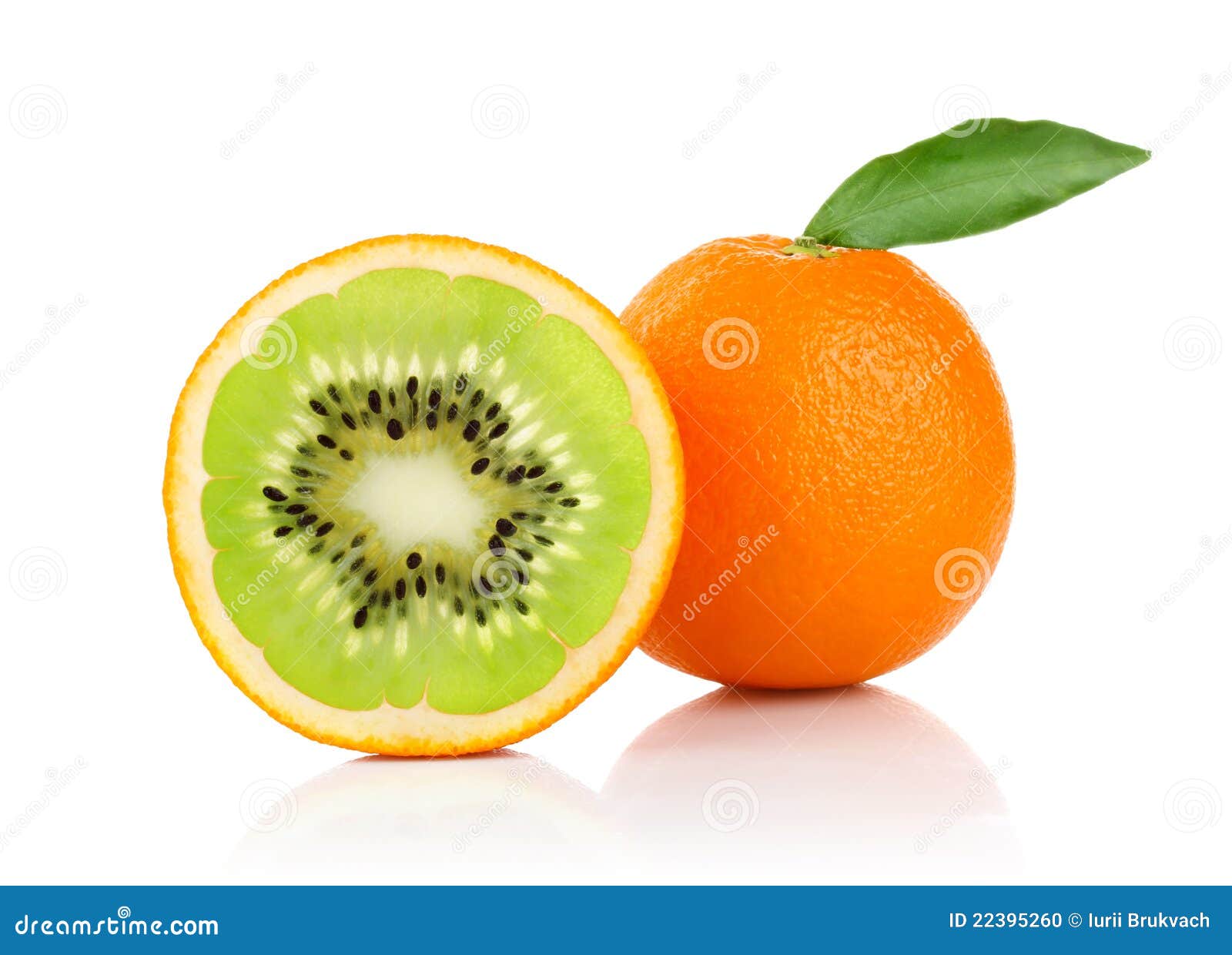 creative conception of orange and