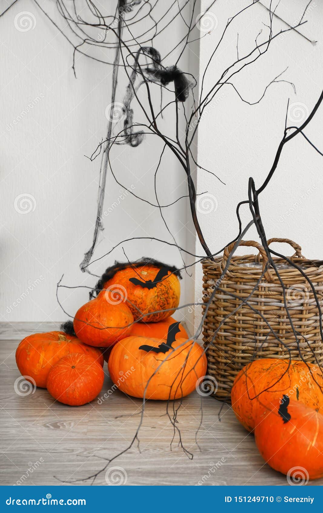 Creative Decorations for Halloween Party Near Light Wall Stock Photo ...