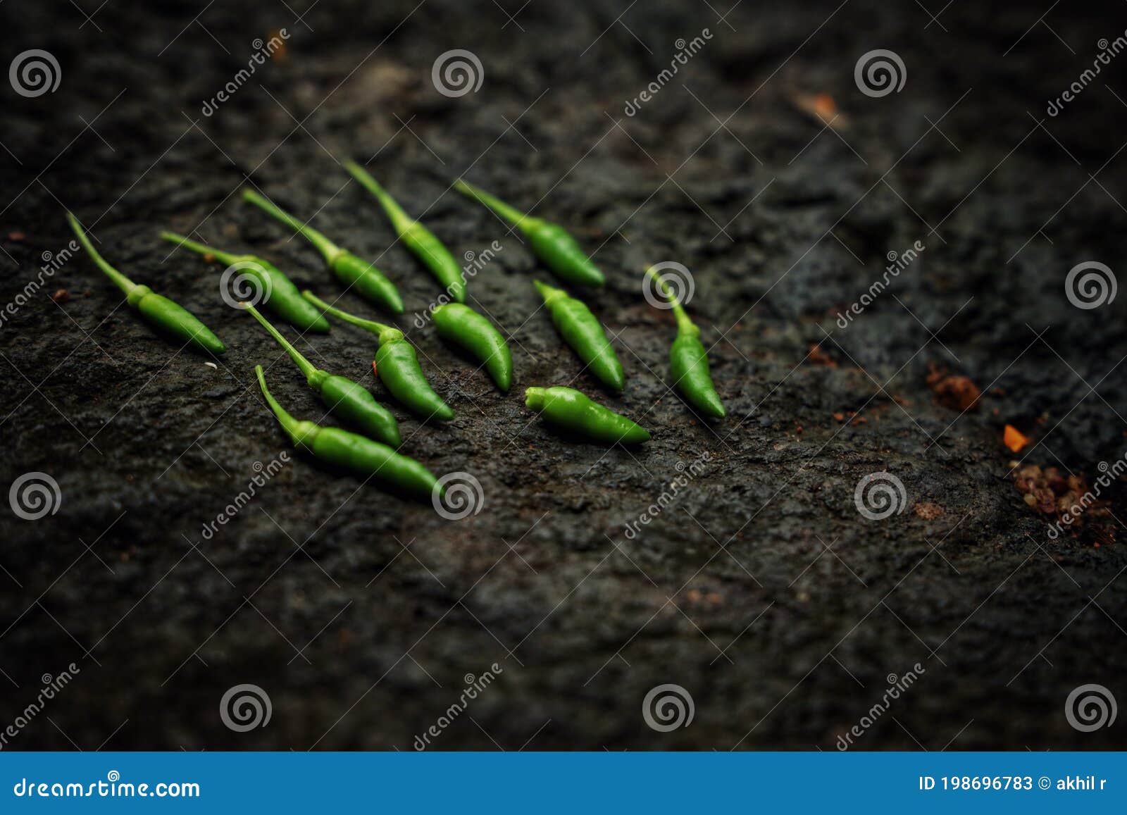Farmer Bird Eye Chilli Seeds Stock Photos Free & RoyaltyFree Stock