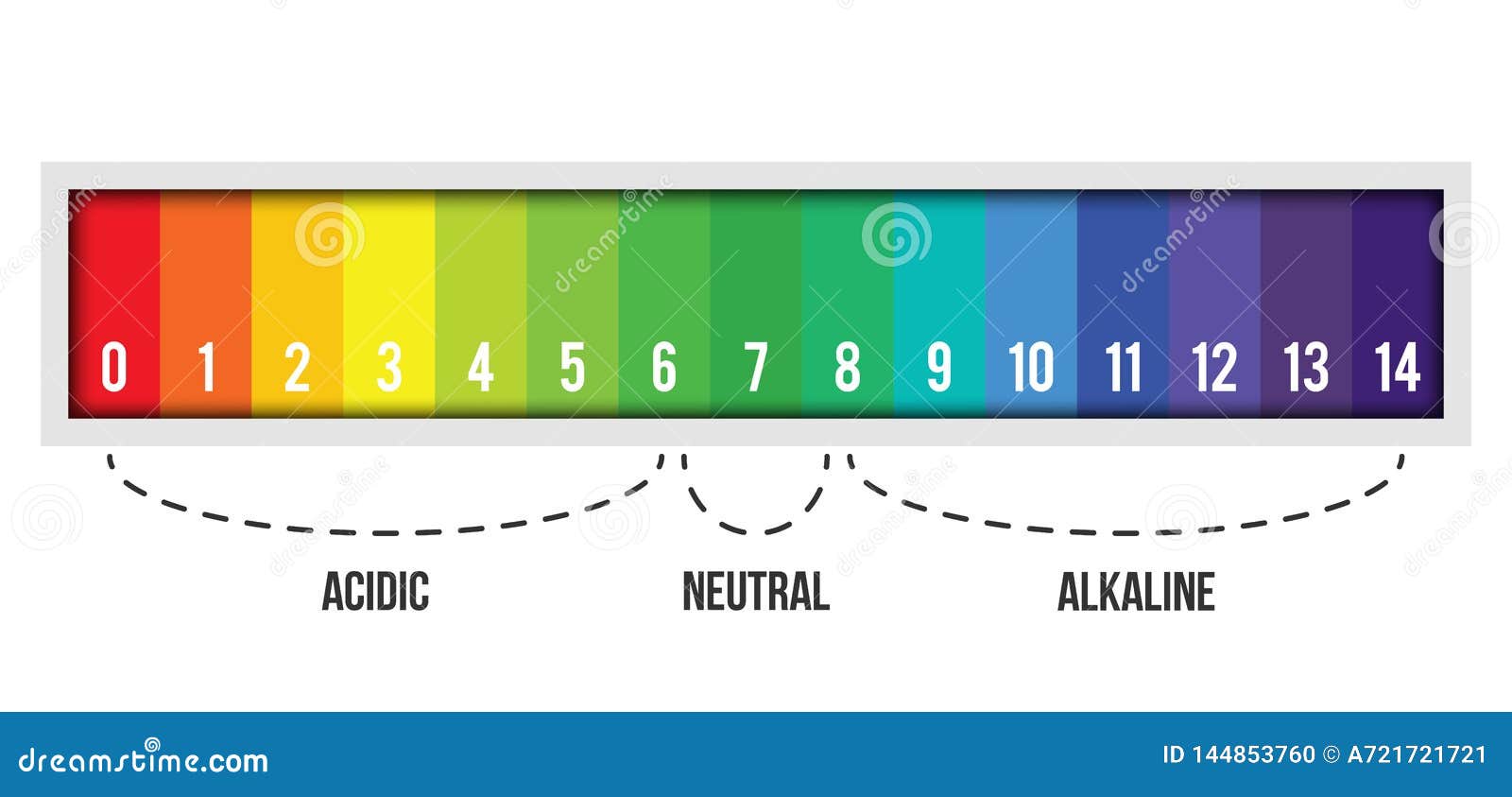 PH Scale. Litmus Paper Color Chart. Vector Illustration | CartoonDealer