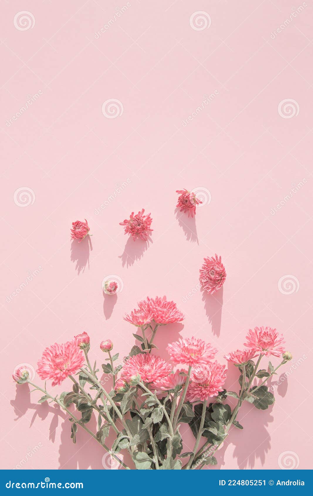 Page 6 - Free and customizable pink floral background templates