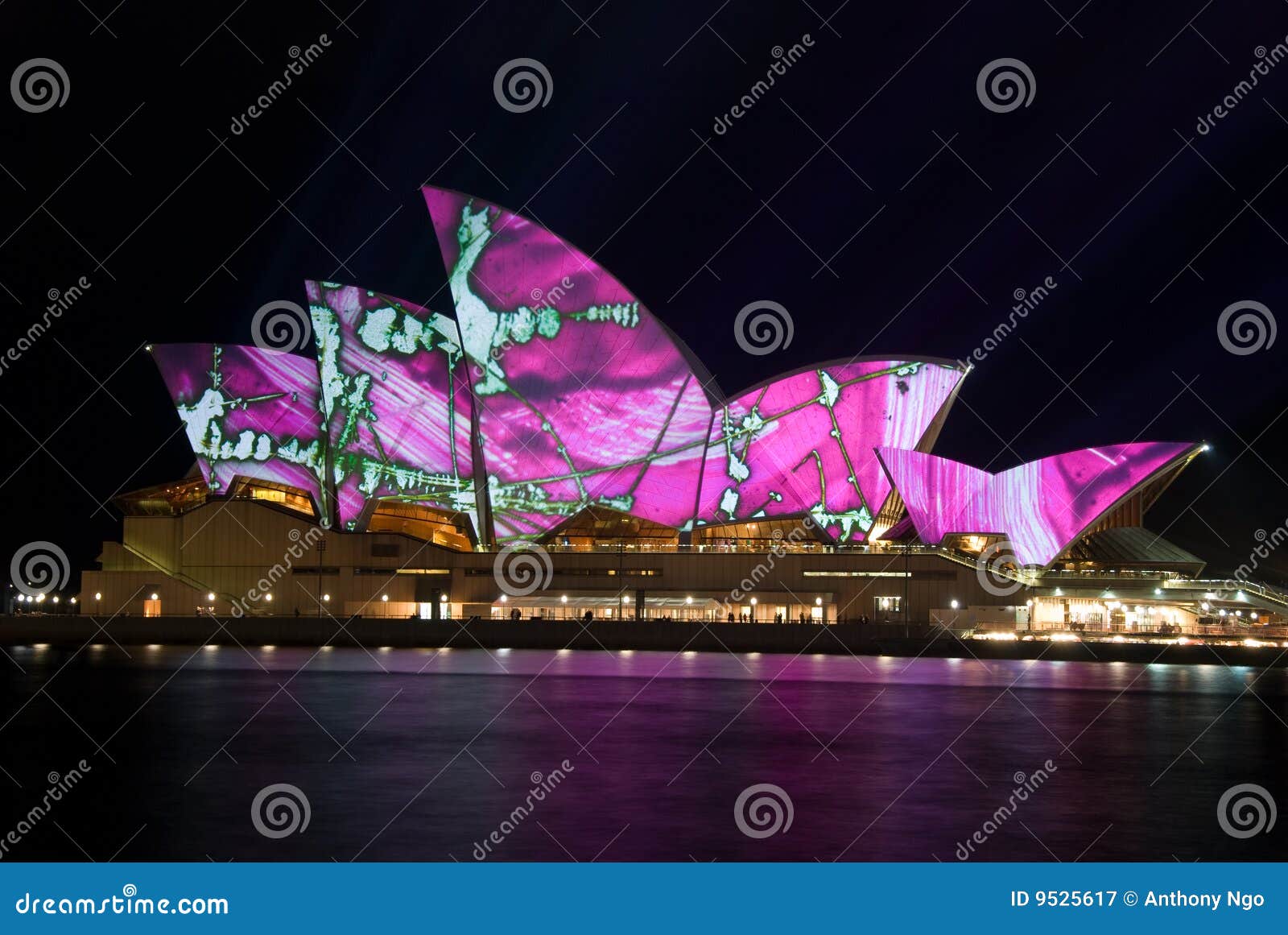 Creative Luminous Lighting Sydney Opera House Editorial Photography