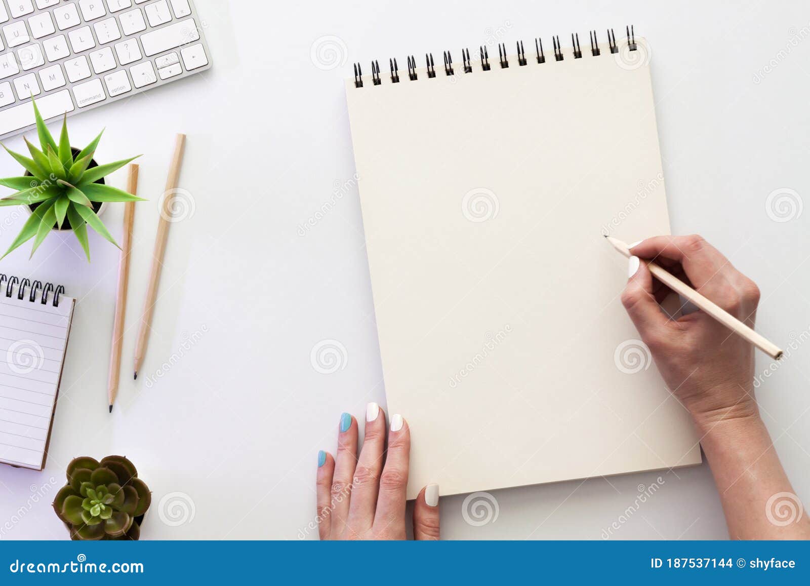 Blank Sketchbook Page with Pen and Ink on Craft Papper Stock Photo - Image  of interior, decoration: 70401008