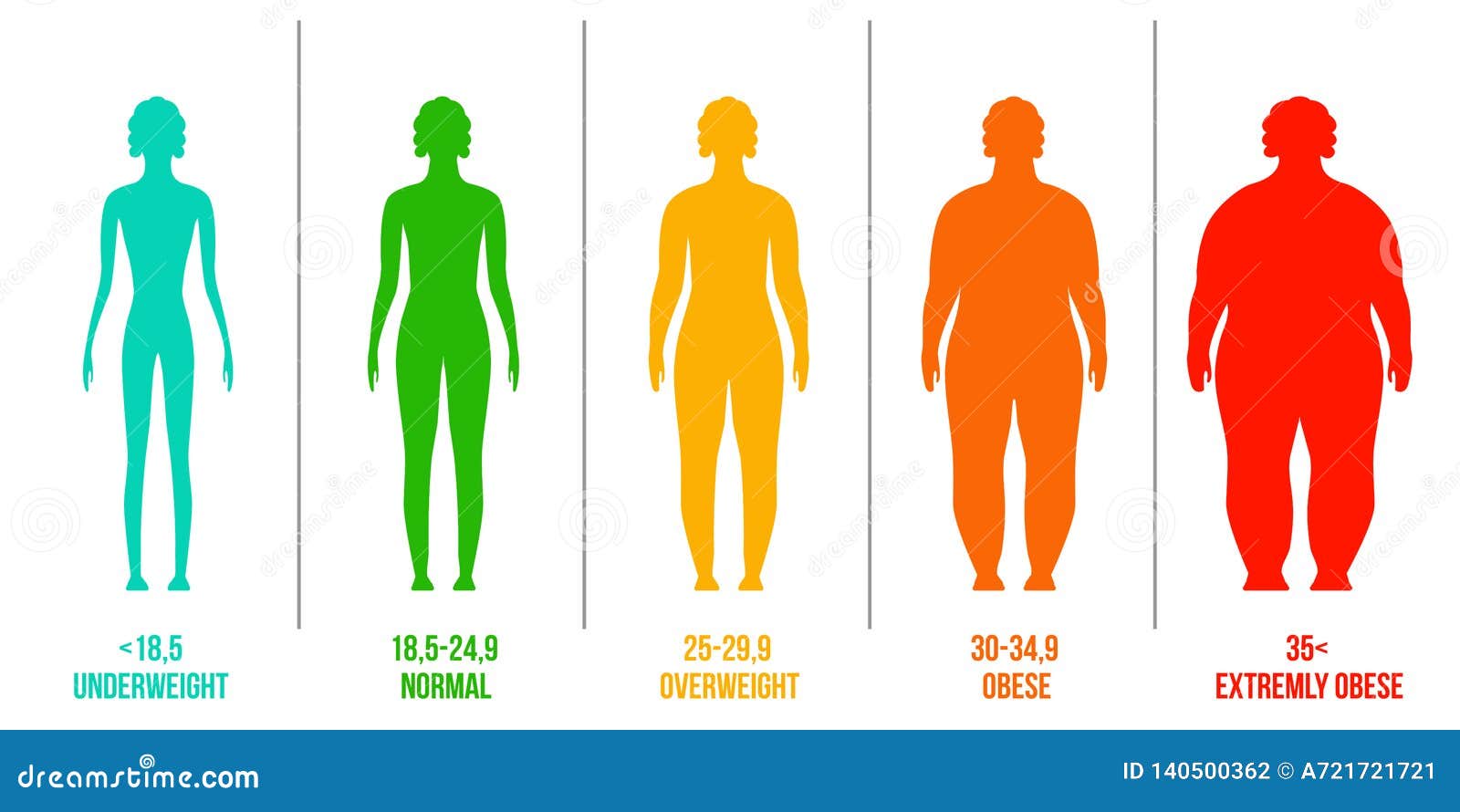 Creative Vector Illustration of Bmi, Body Mass Index Infographic Chart with  Silhouettes and Scale Isolated on Stock Vector - Illustration of chart,  female: 140500362