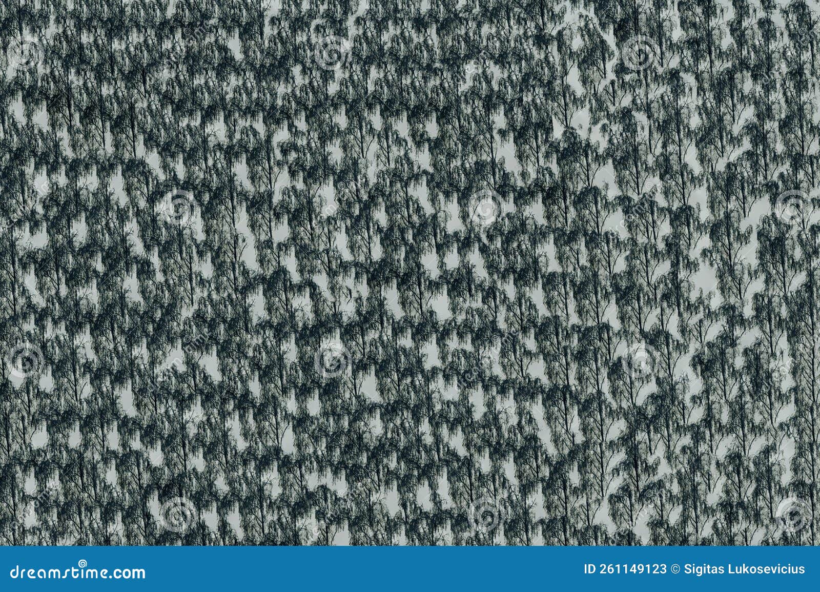 Creative, Wall Tiles Design, Creation of Ceramic Tiles, Artful Design