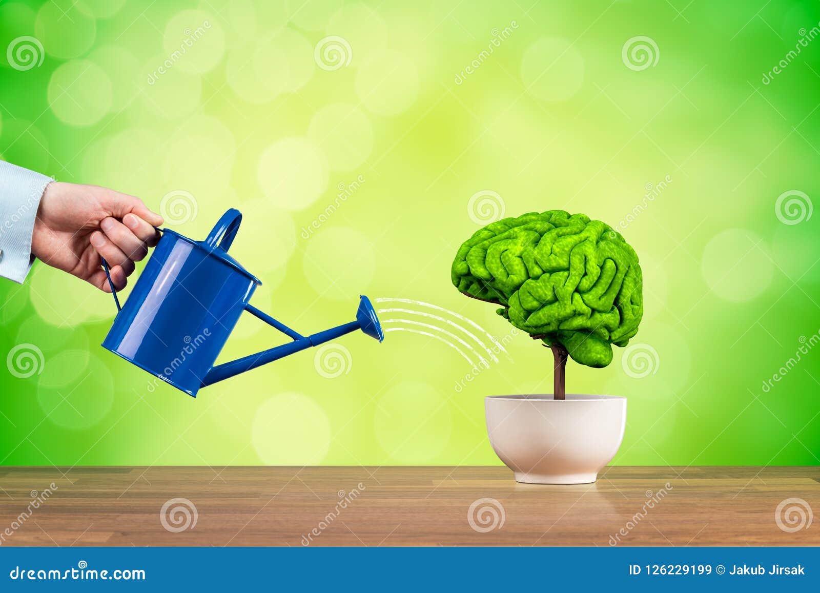creativity and brain function growth