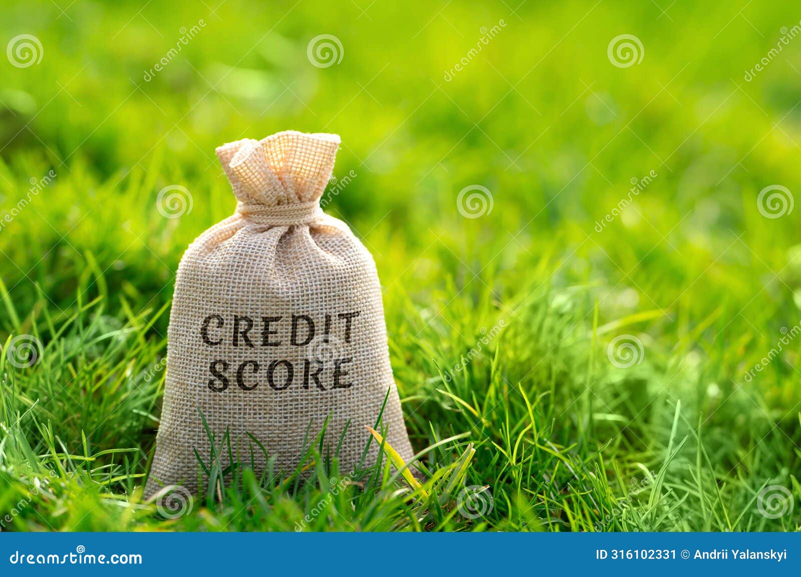 credit score concept. numerical representation of an individual's creditworthiness