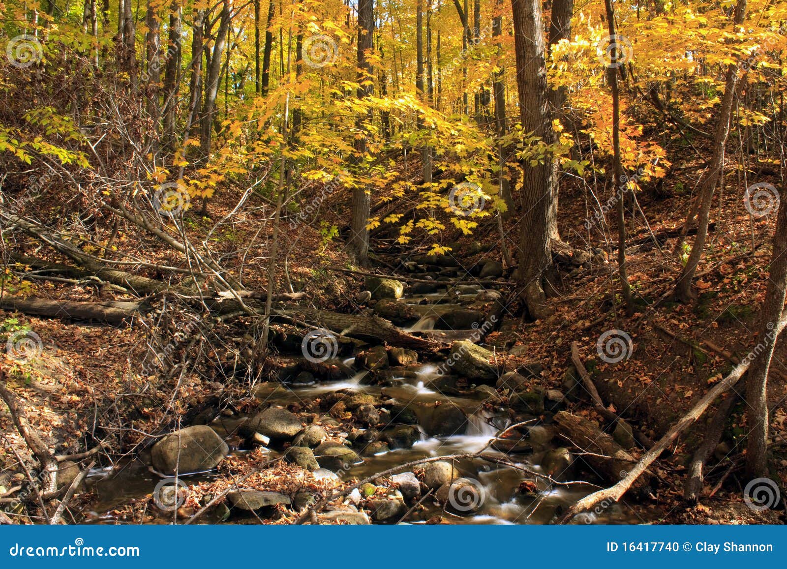 Creek In The Autumn Forest Stock Photo Image Of Segment 16417740