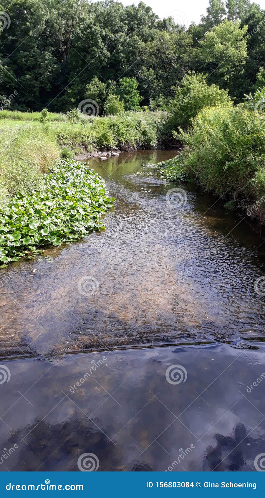 Creek in Elgin Illinois stock photo. Image of elgin 156803084