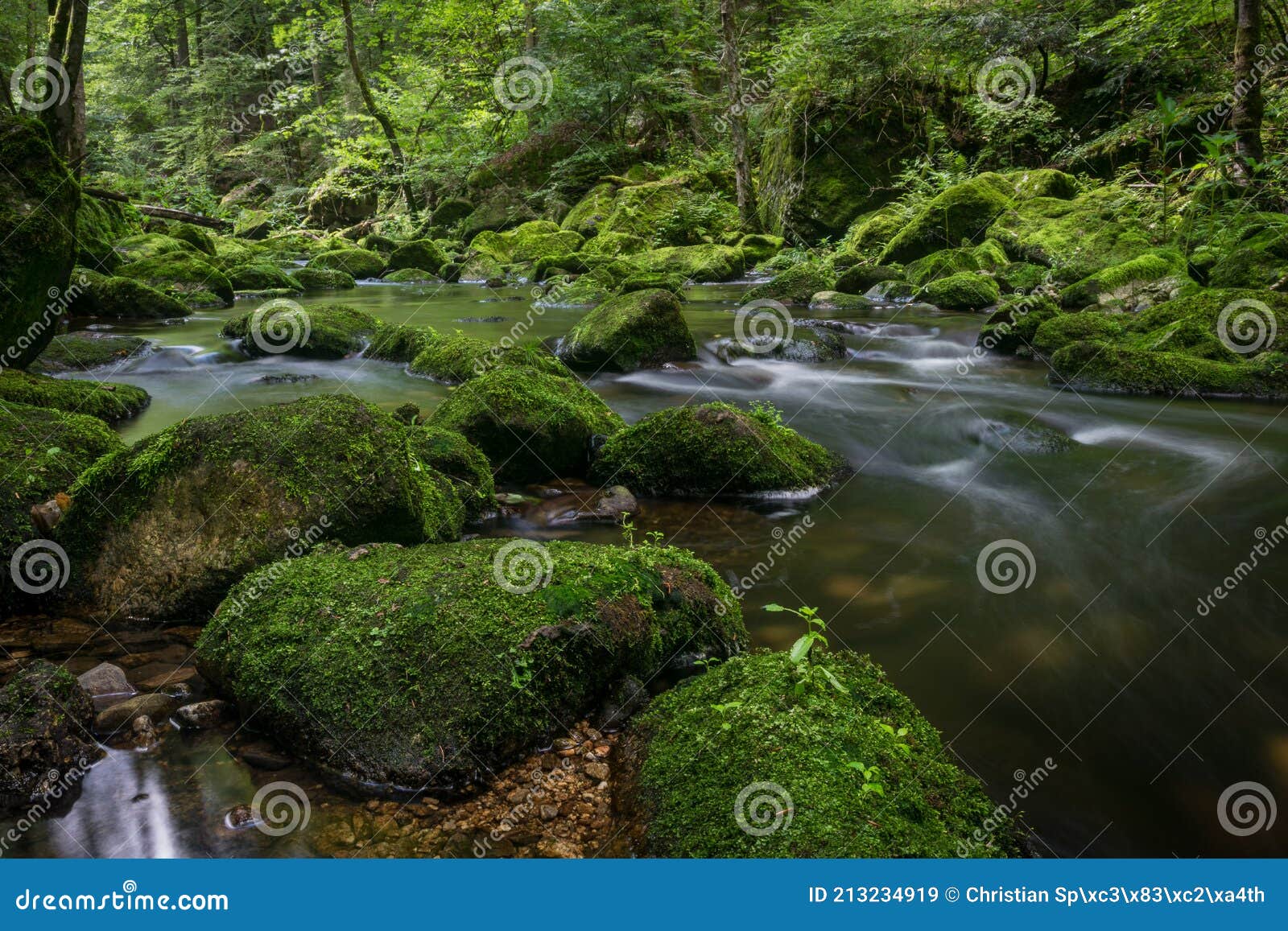 moss on a creek called buchberger leite