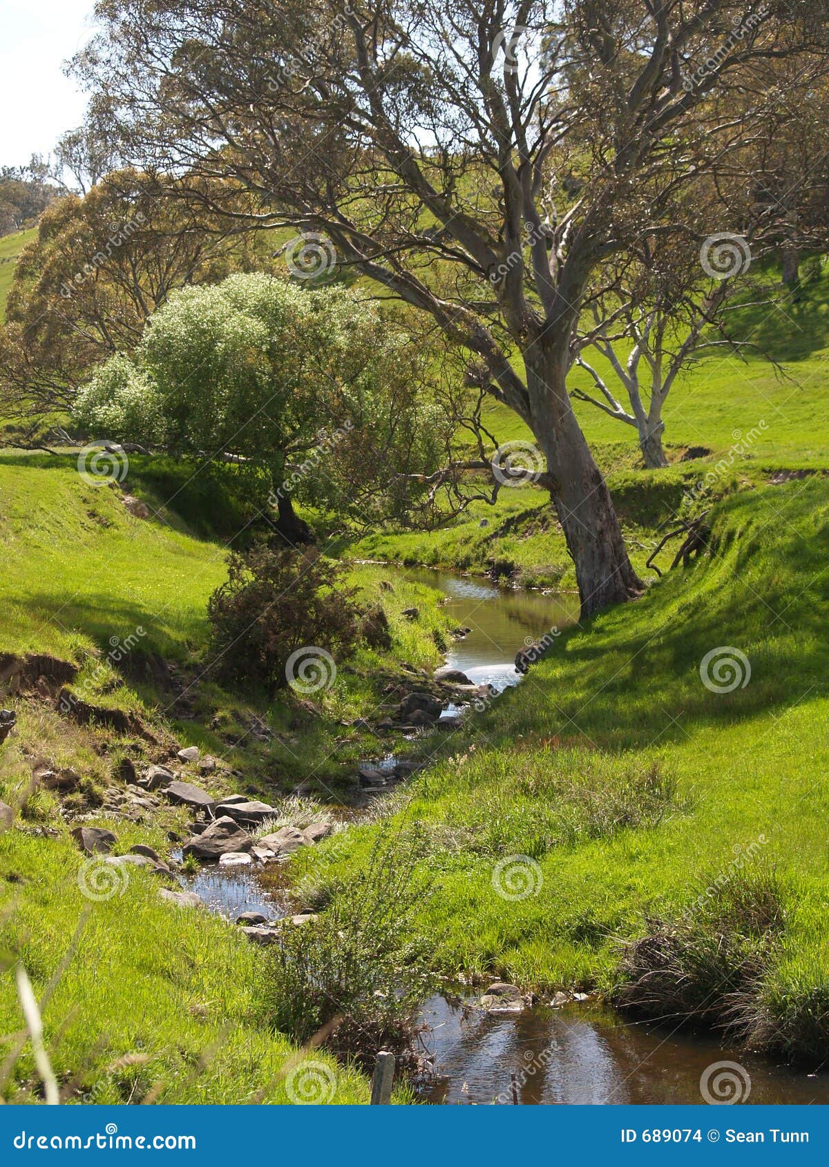 Creek, Mount Pleasant, South Australia Stock Photo Image of australia