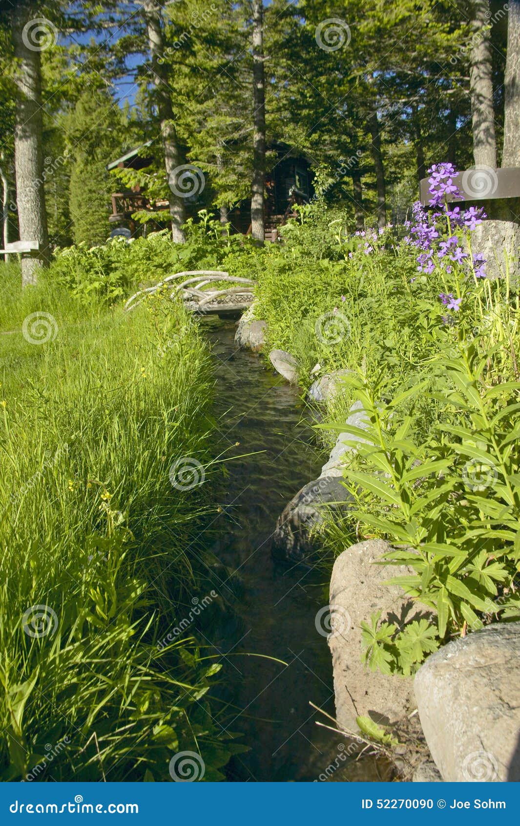 creek runs through spring foliage at taft ranch, centennial valley near lakeview, mt