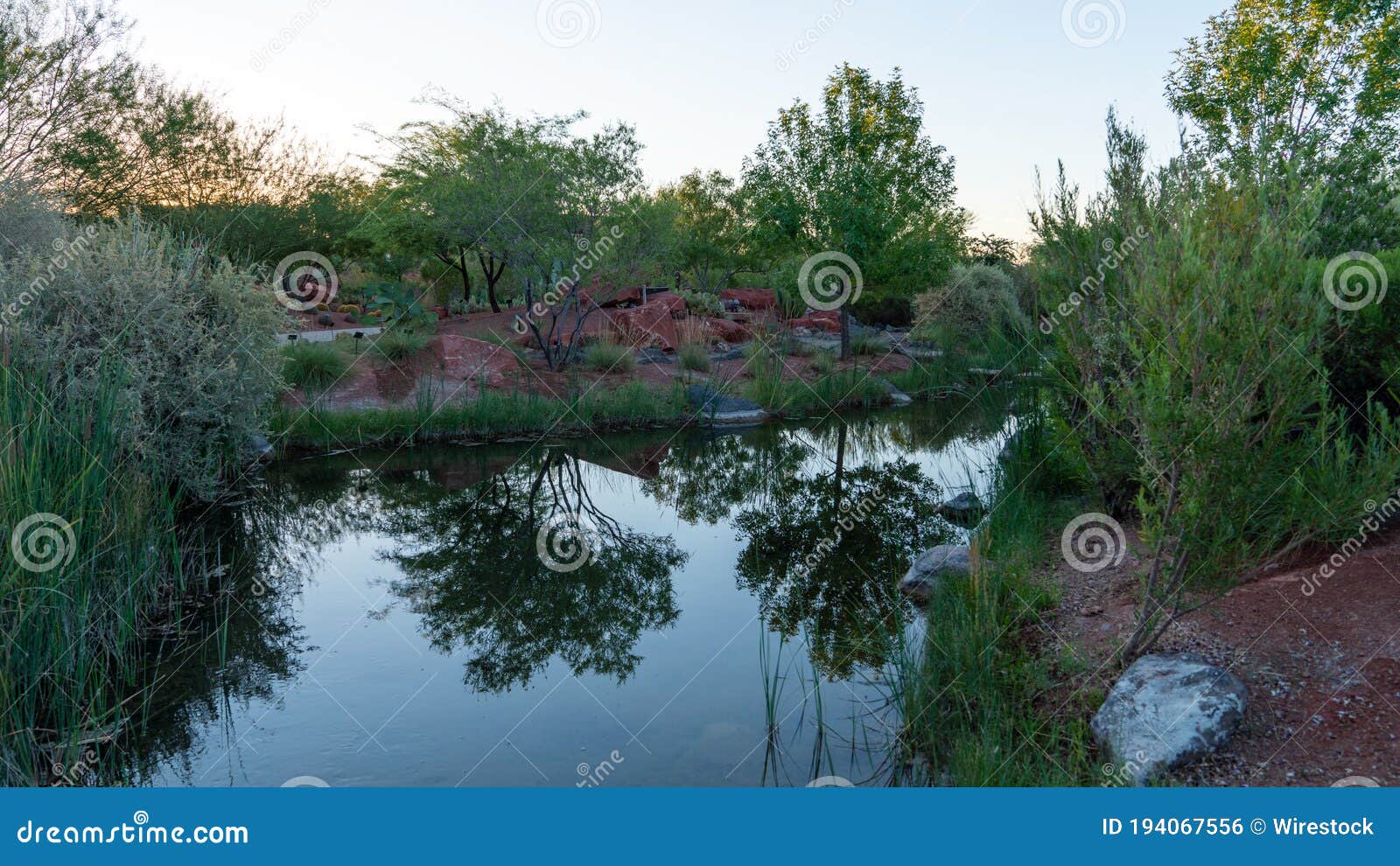 Creek Surrounded by Greens and Trees in City Stock Photo