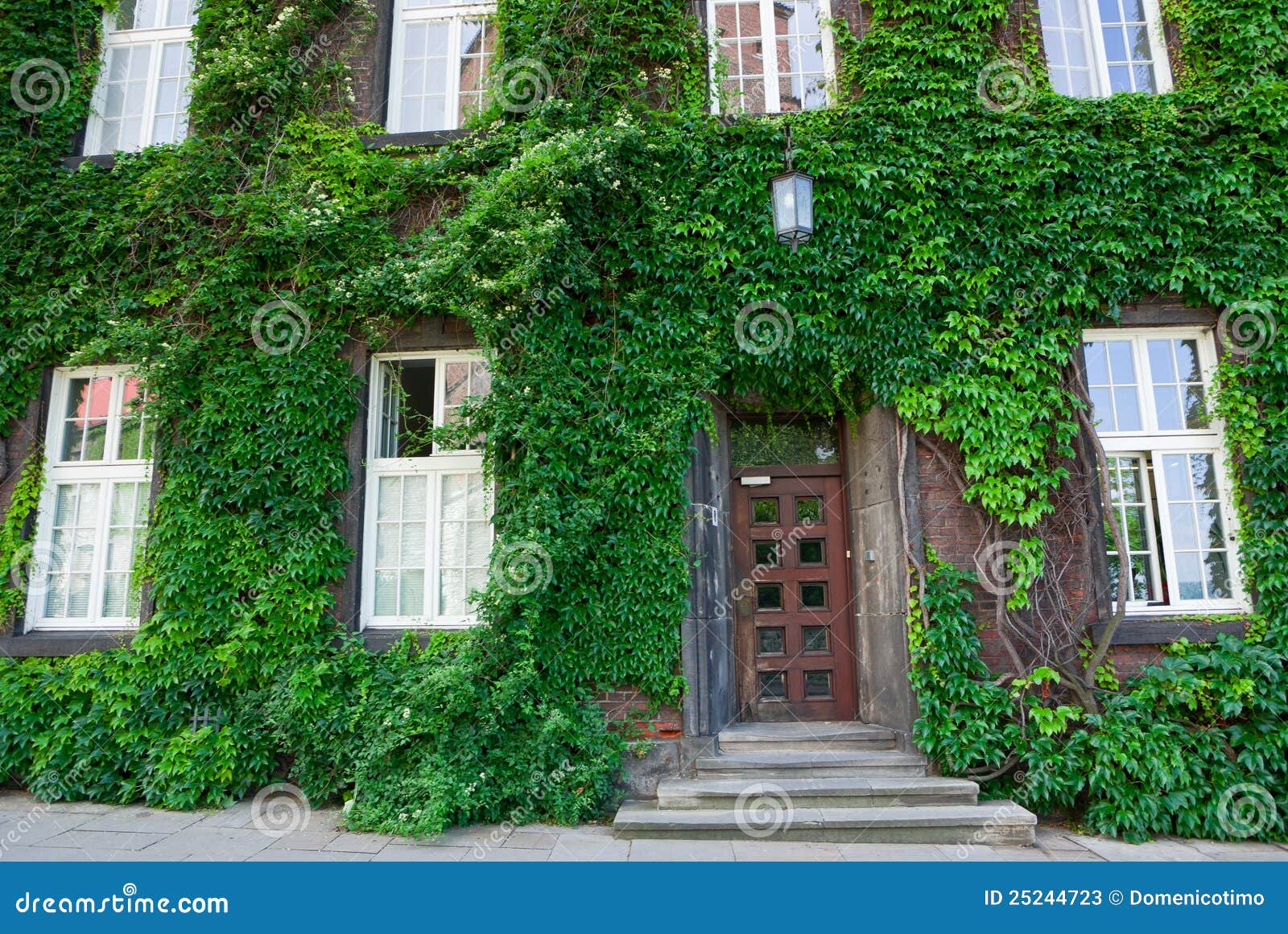 Creeper that Wraps a Building Stock Image Image of color, growth