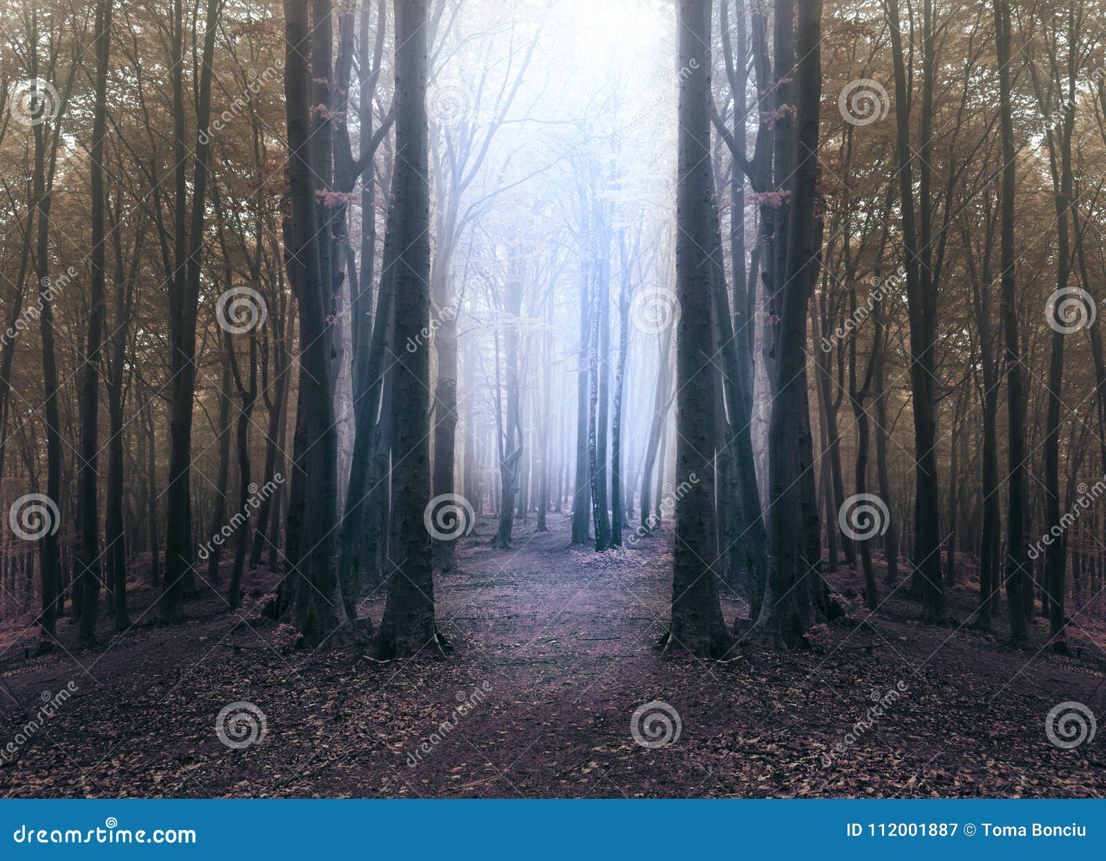 creepy blue light in foggy forest with circle of dark trees
