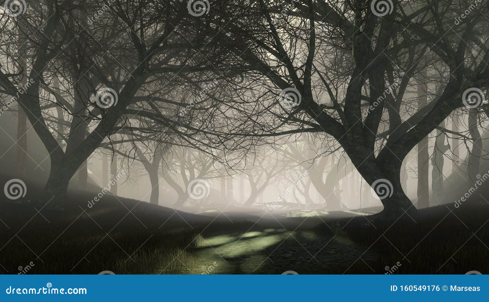 creepy dead trees in dark misty forest at night