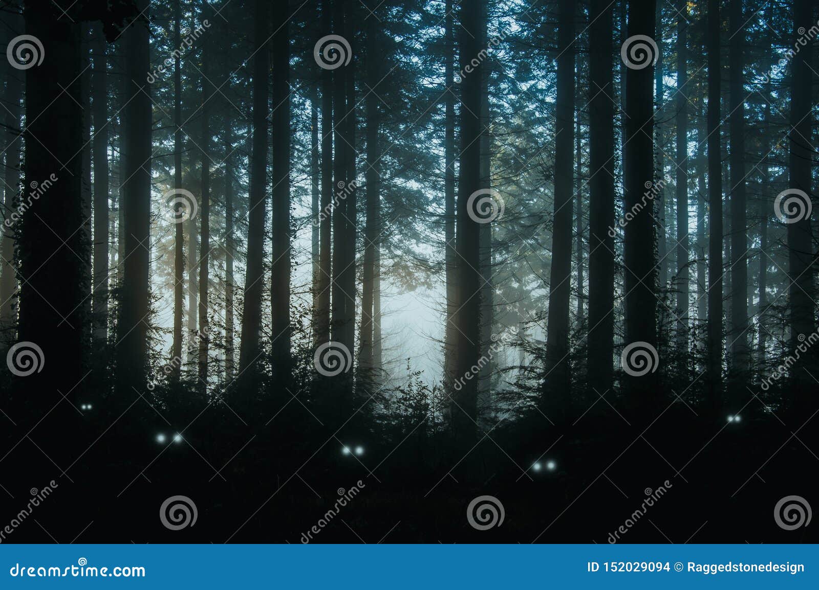 a creepy, fantasy forest of pine trees, back lighted with spooky, glowing eyes of creatures in the undergrowth
