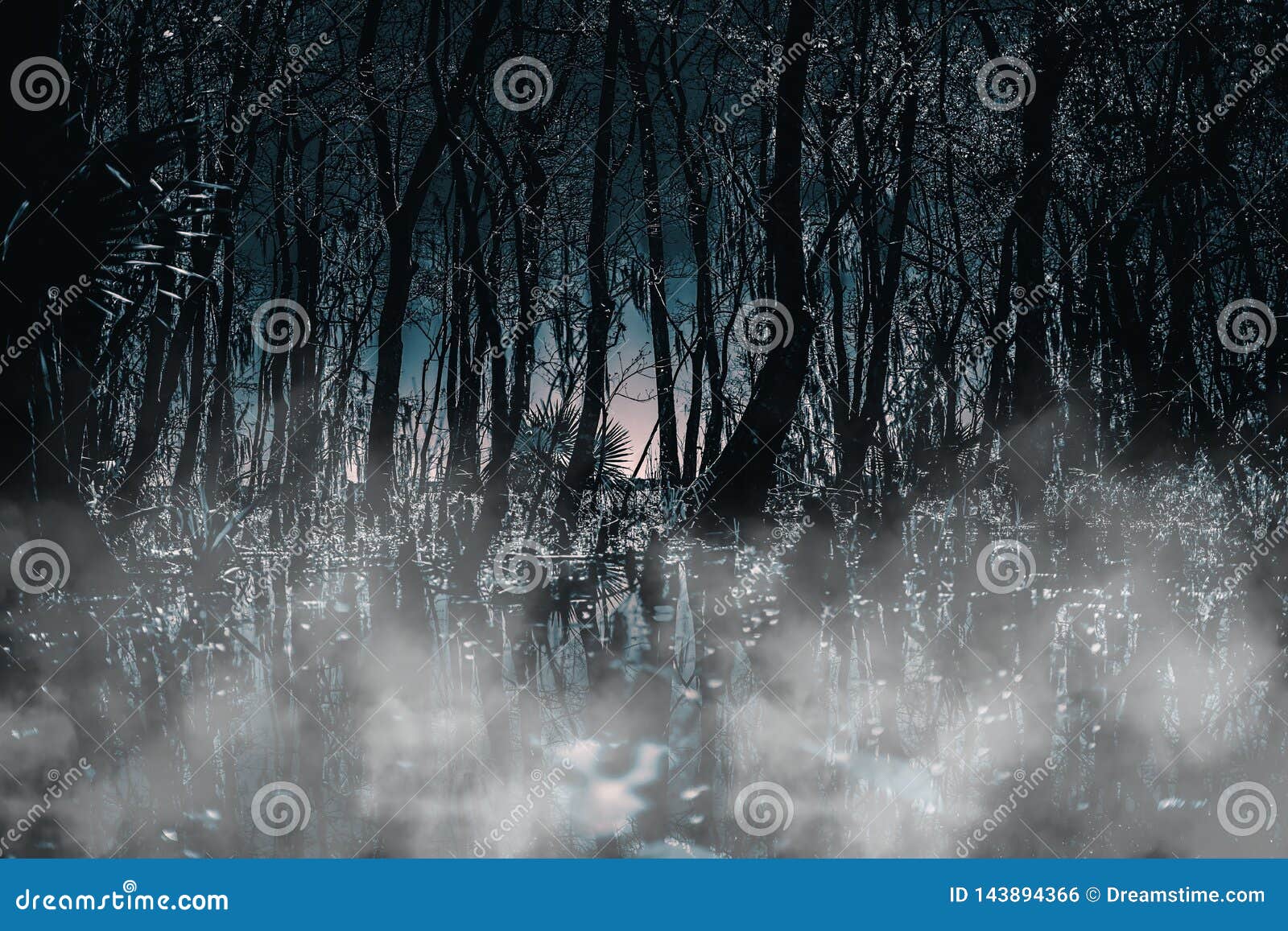 pic Woods At Night Scary https www dreamstime com creepy gothic moonlit foggy woods night great horror scary projects which will be image143894366