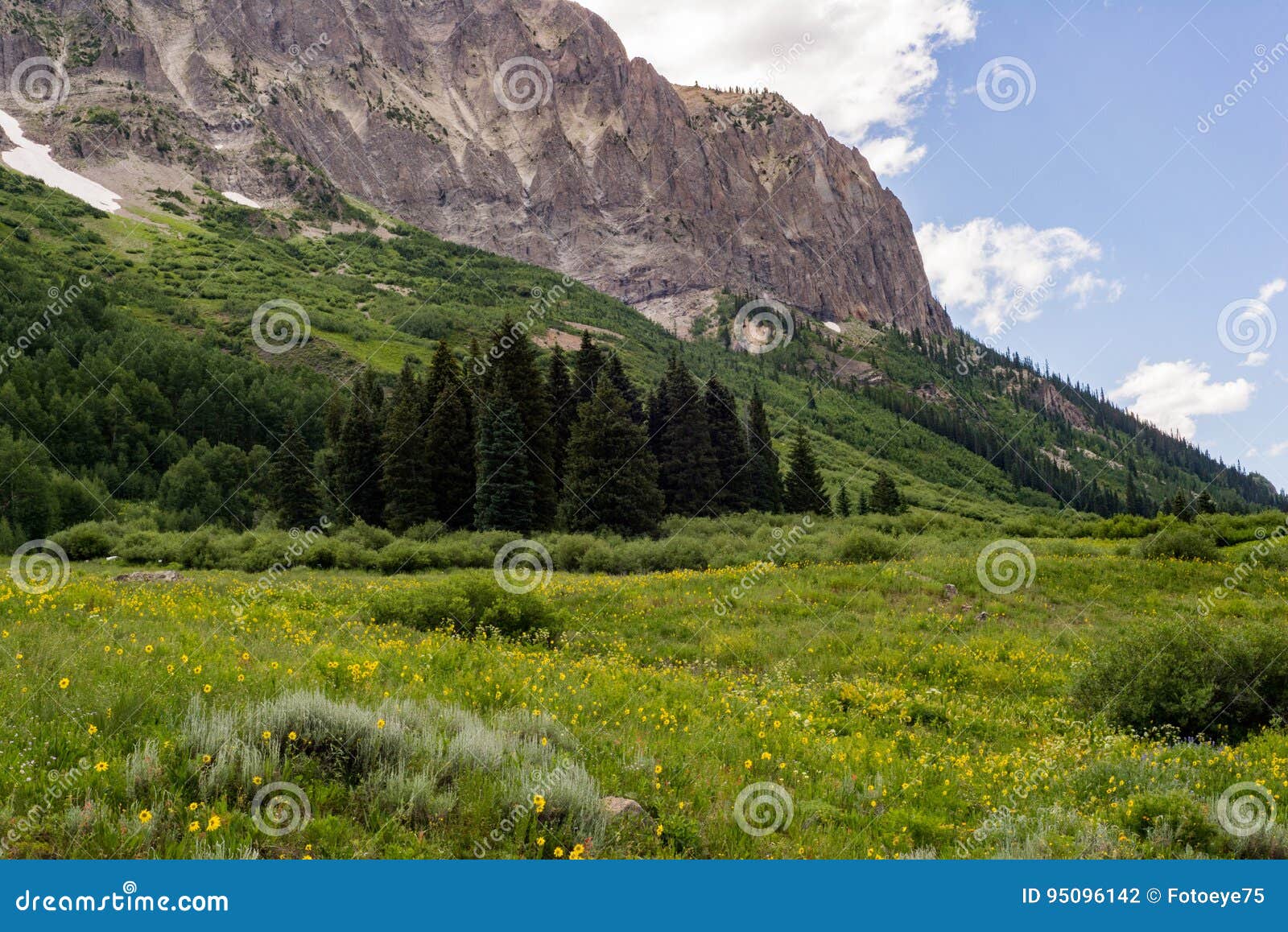 crested butte colorado mountain landscape and wildflowers