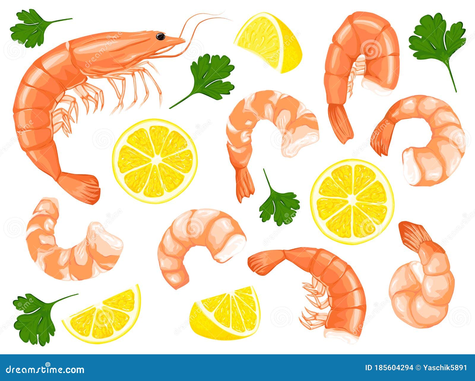 Crevettes fraîches : plus de 48 288 illustrations et dessins de