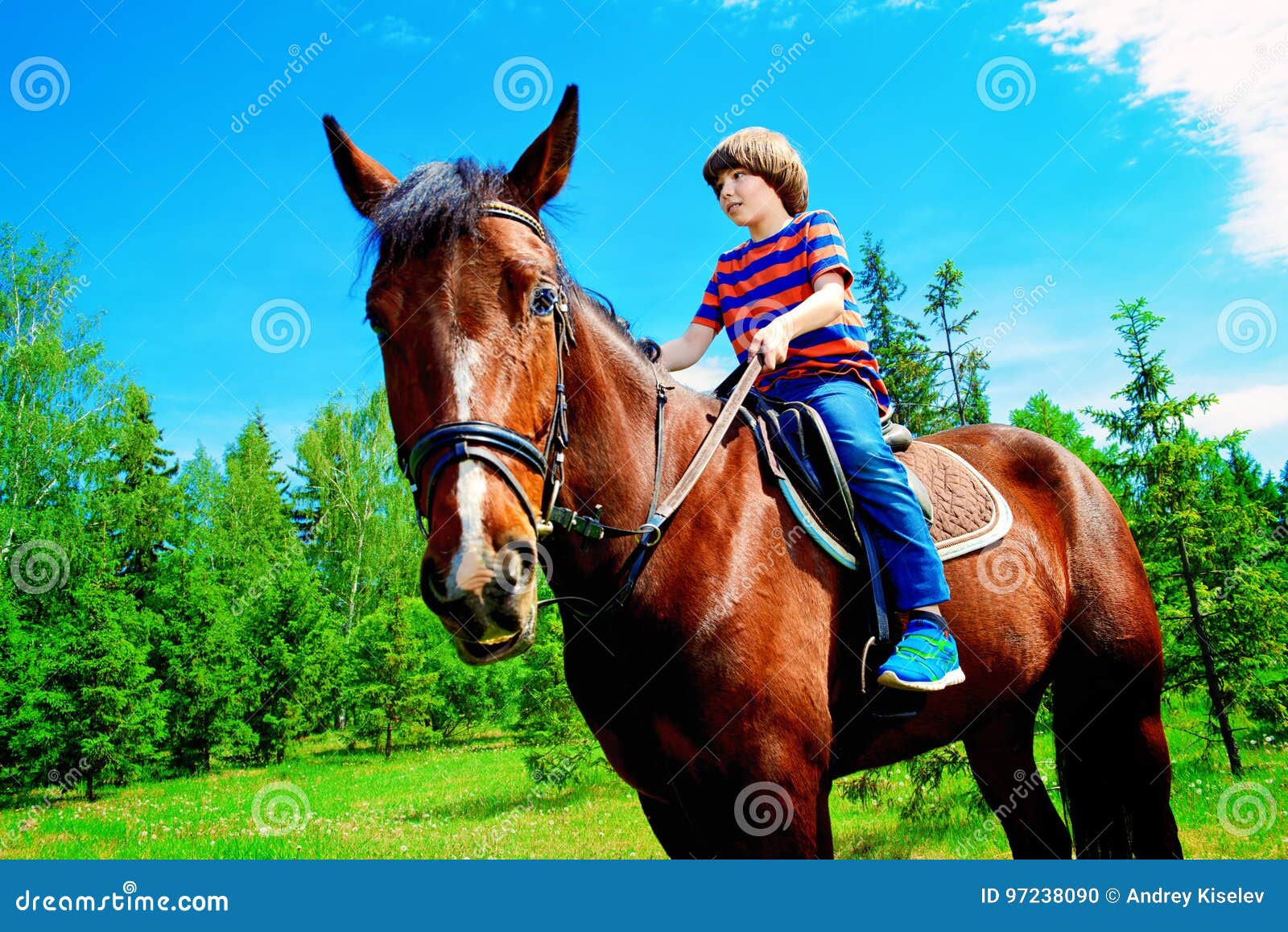 Foto Uma criança pequena montando um cavalo na frente de um celeiro –  Imagem de México grátis no Unsplash