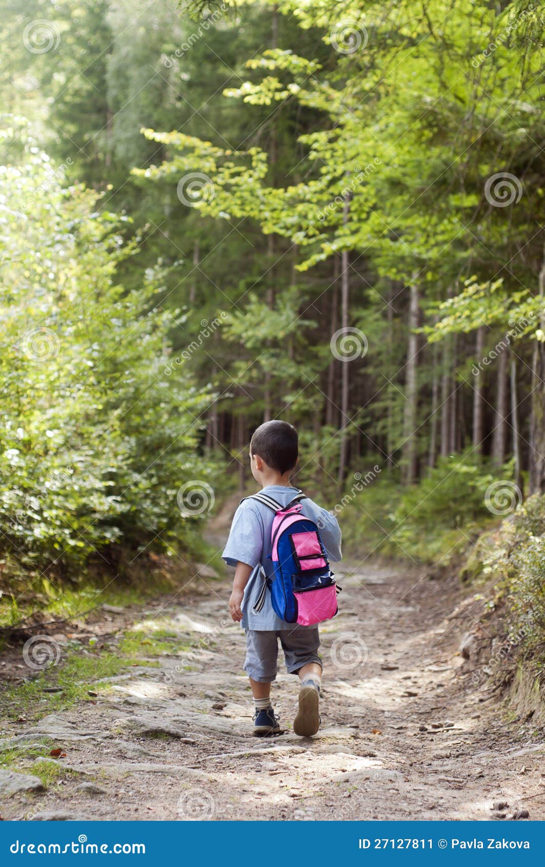 Criança na floresta imagem de stock. Imagem de lazer - 27127811