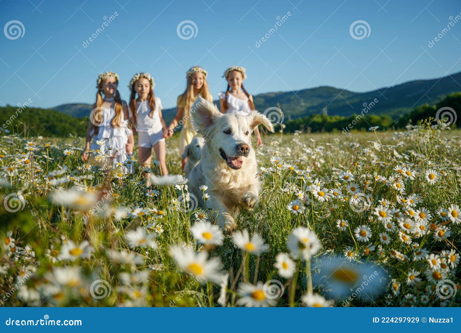 seis meninas se divertem no campo 11530705 Foto de stock no Vecteezy