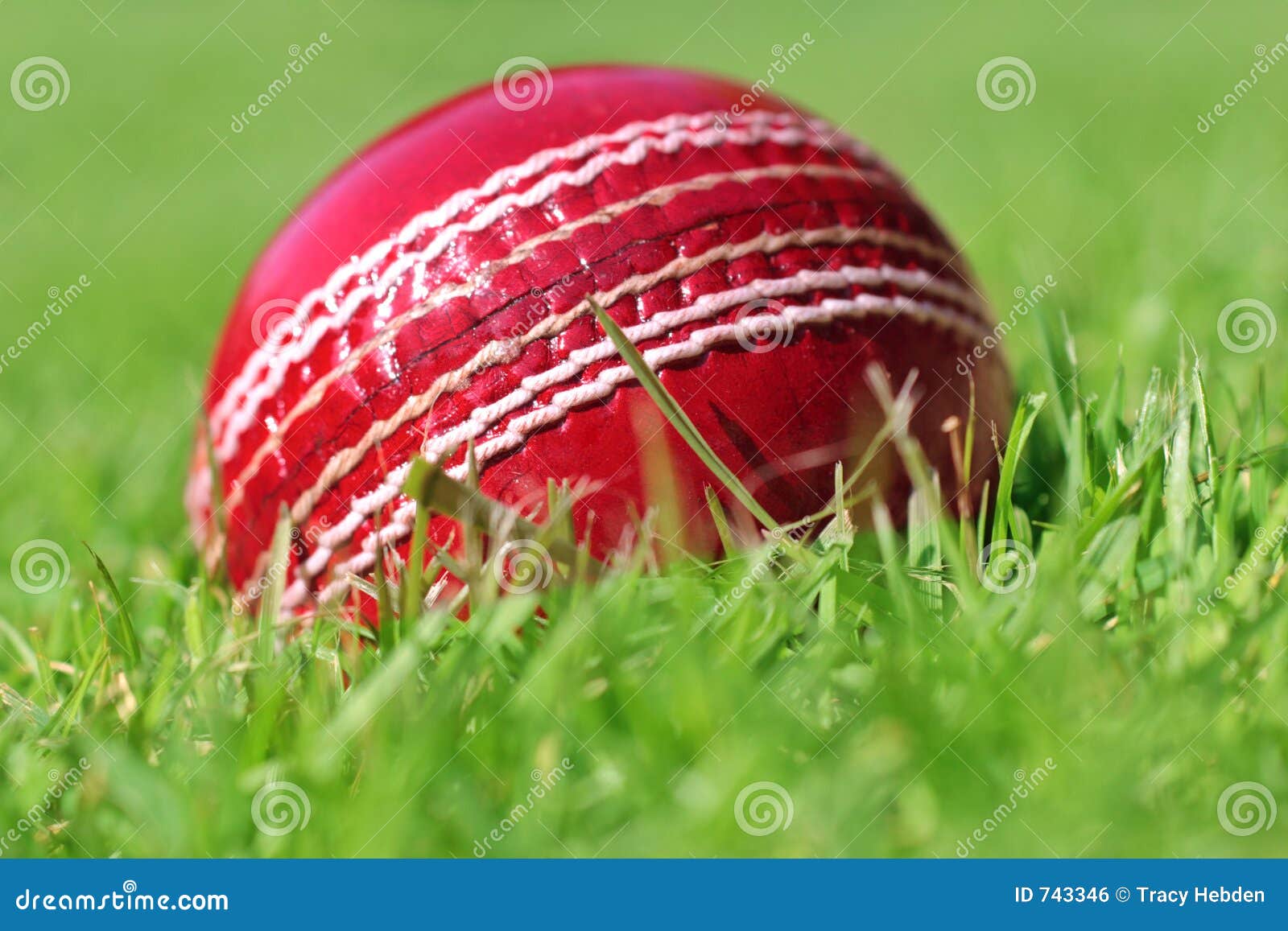 Cricket ball stock photo. Image of game, competition, enjoy 743346