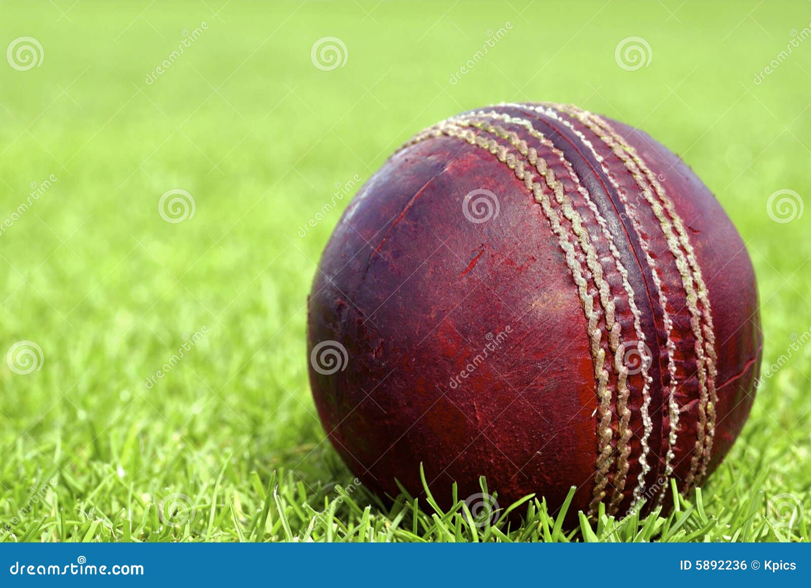 Cricket Ball with Copy Space To the Left Stock Photo Image of format