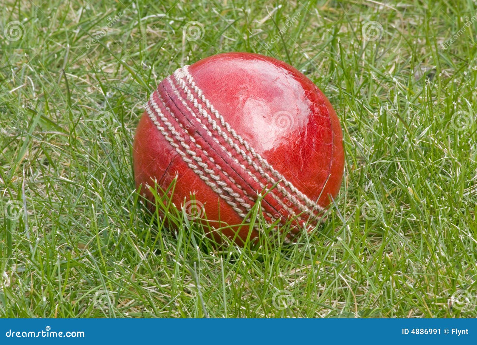 Cricket ball in the grass stock image. Image of seam, sewing 4886991
