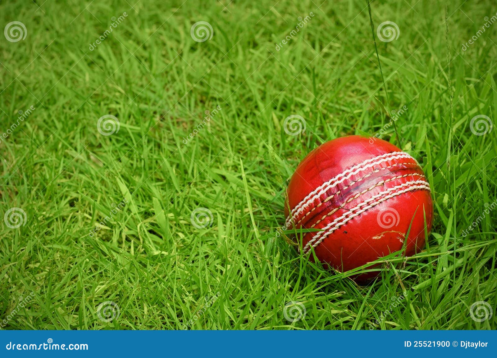 Cricket Ball on Green Grass Pitch Stock Photo Image of traditional