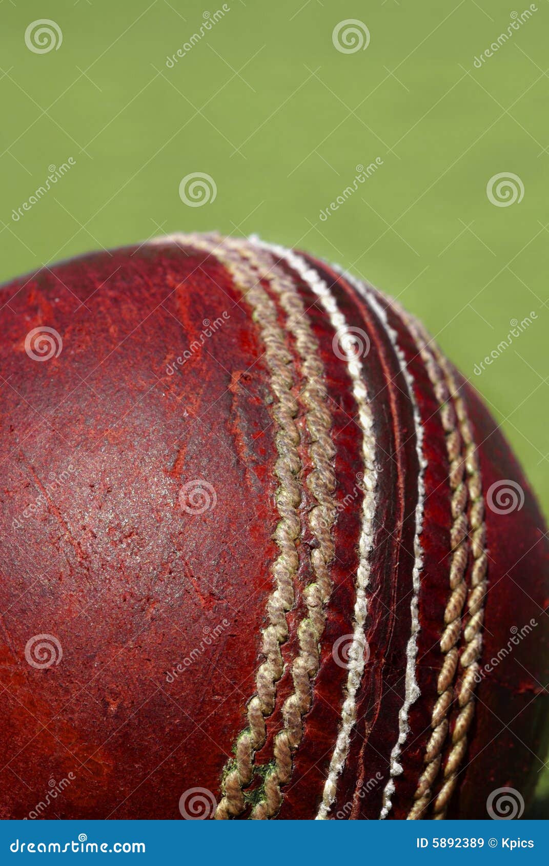 Cricket Ball Seam RoyaltyFree Stock Photography