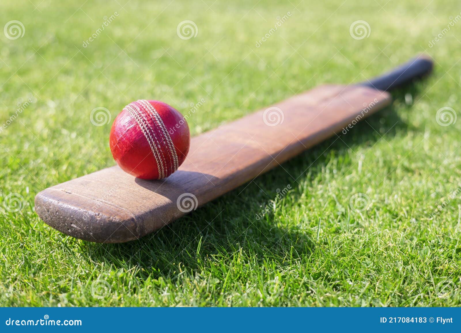 Cricket Ball on Top of Cricket Bat on Green Grass of Cricket Pitch
