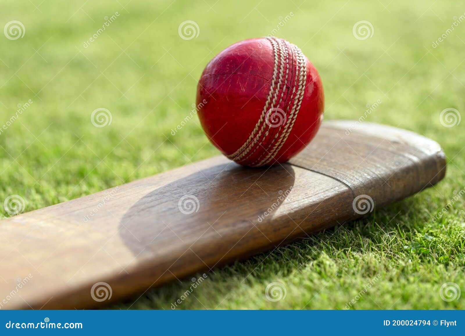 Cricket Bat and Ball on Cricket Pitch Stock Photo Image of pitch