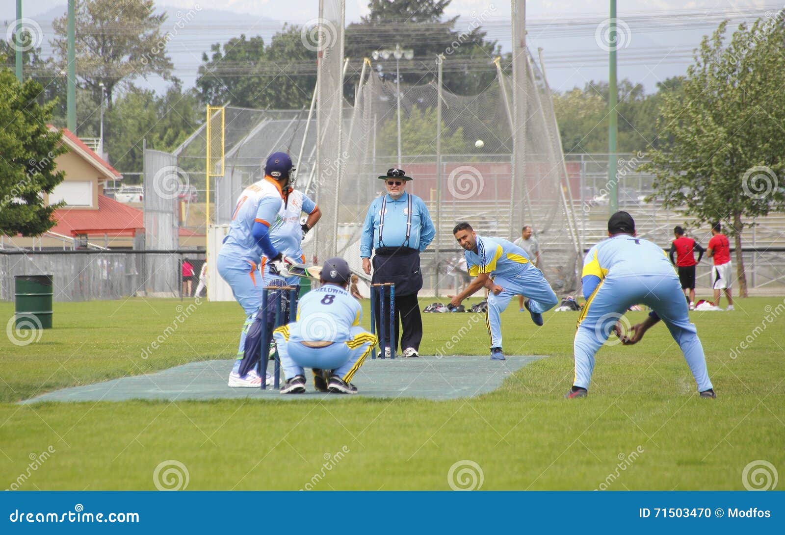 Cricket and the Bowler editorial image. Image of field 71503470