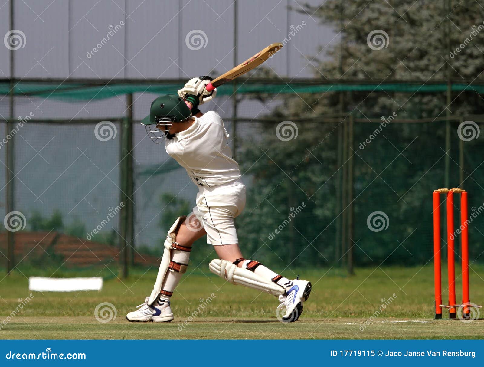 1292 Cricket Tattoo Images Stock Photos  Vectors  Shutterstock