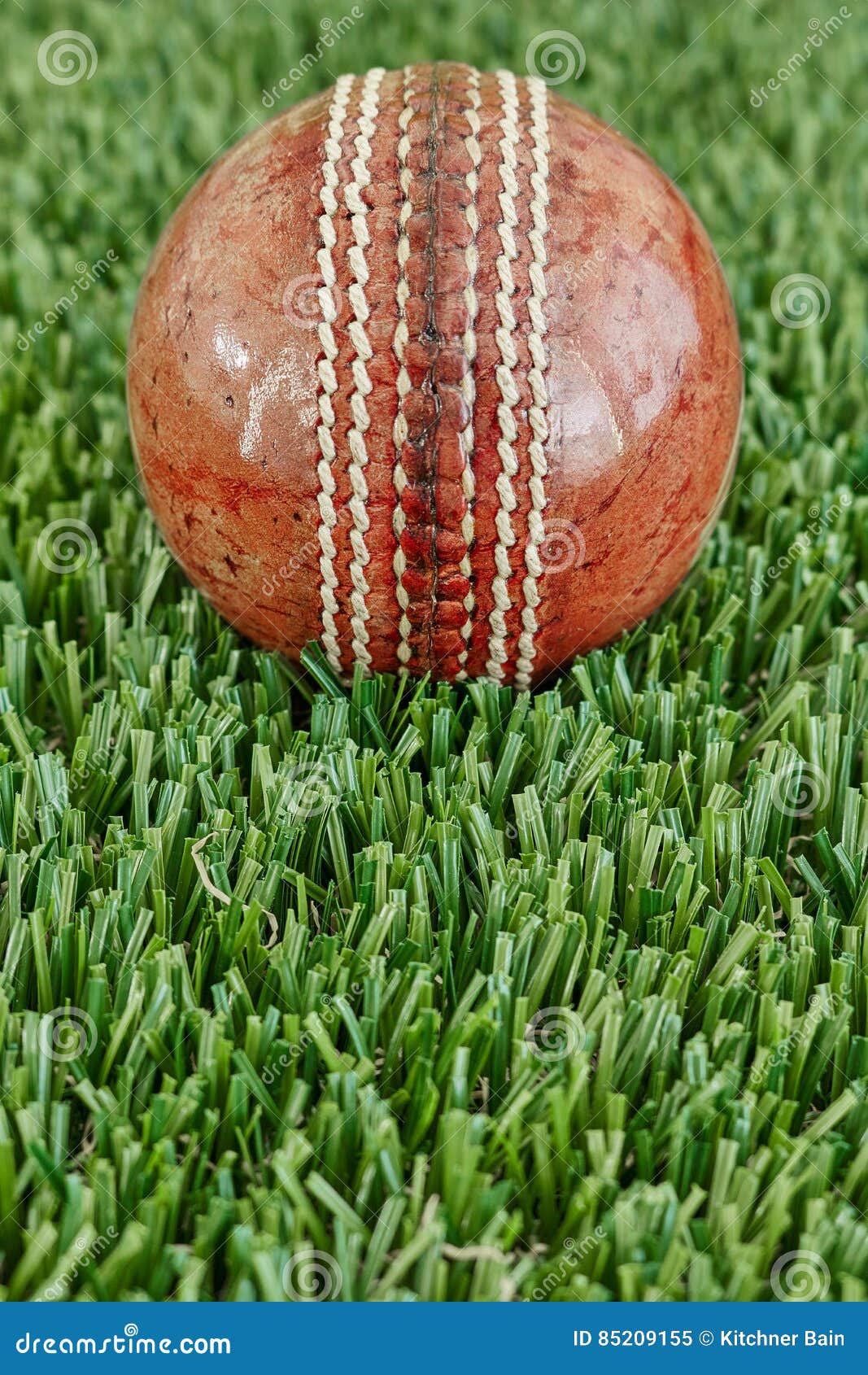 Cricket Equipment stock image. Image of still, color 85209155