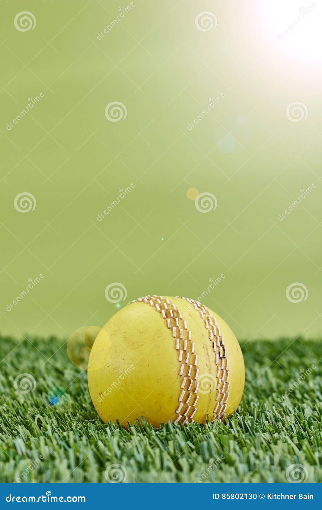 Cricket Equipment stock photo. Image of sports, lawn 85802130