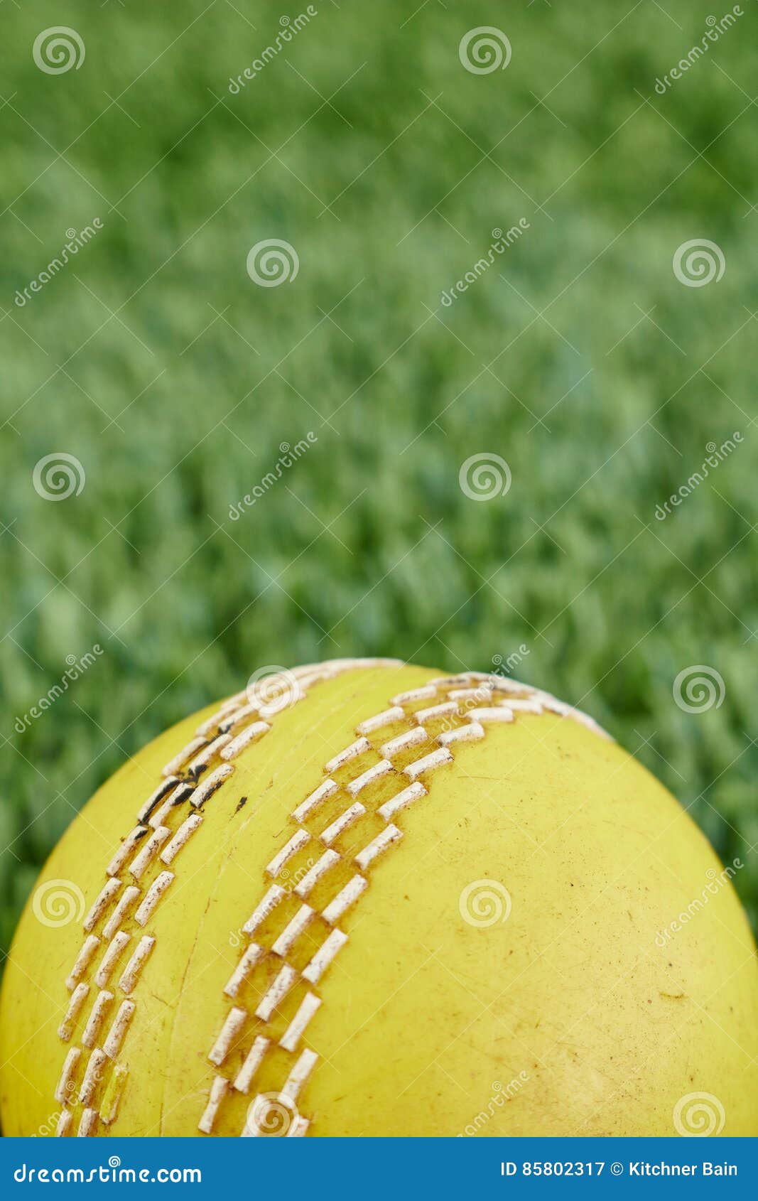 Cricket Equipment stock image. Image of cricket, macro 85802317