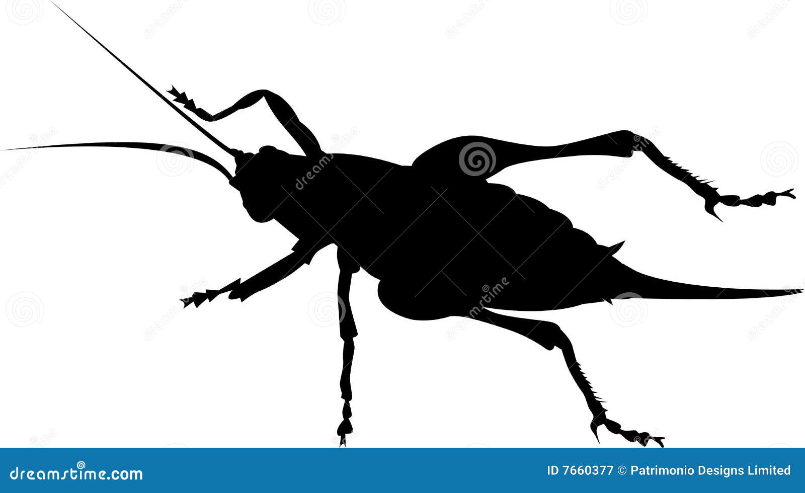free download clipart insect cricket free download clipart insect cricket