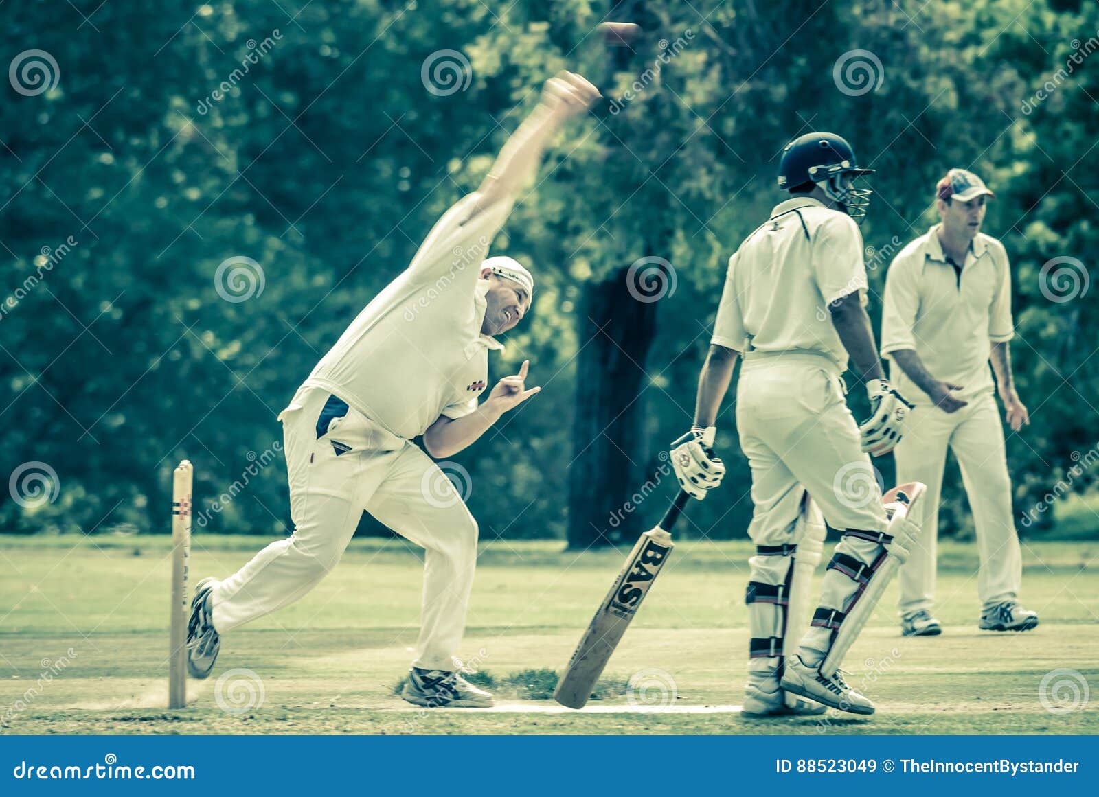Cricket Match in the Park editorial stock image. Image of batsman