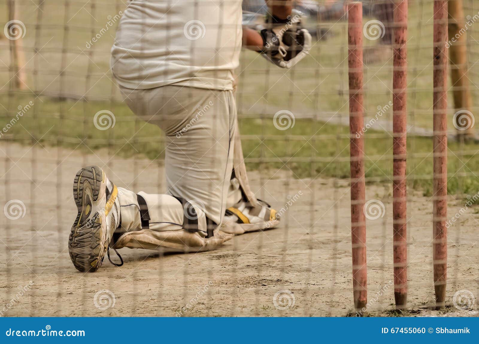Cricket net practice stock photo. Image of color, session 67455060