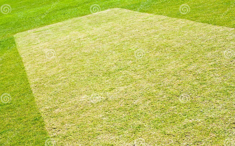 Cricket pitch preparation stock image. Image of short 25144005