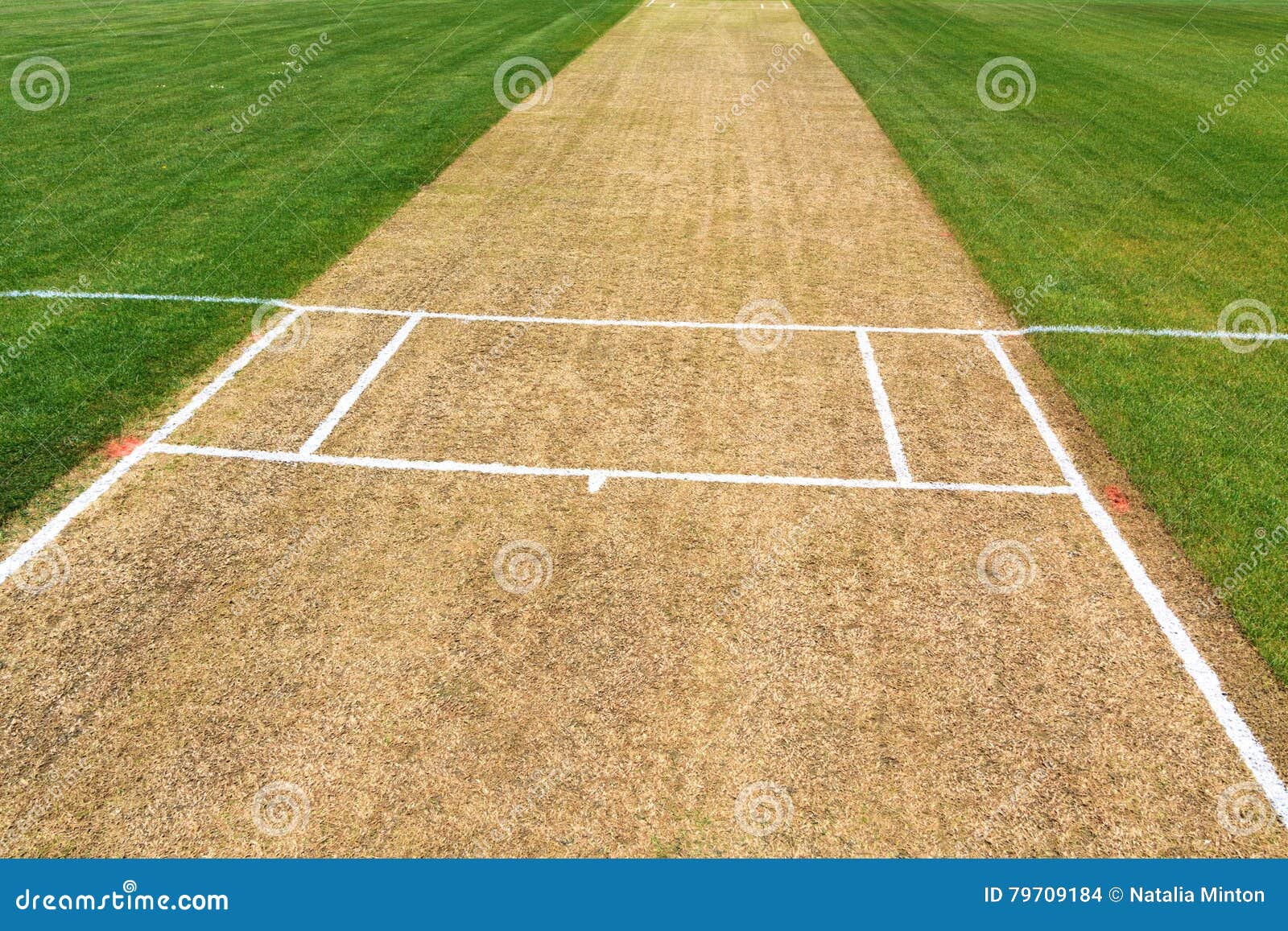 Cricket pitch sport field stock photo. Image of cricket 79709184